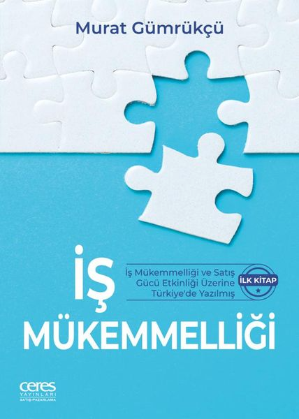 İş Mükemmelliği book cover